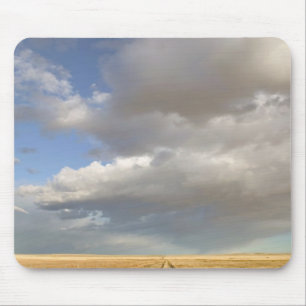 Canada, Alberta, Stand Off: Landscape with Mouse Pad