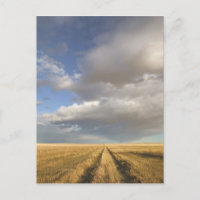 Canada, Alberta, Stand Off: Landscape with