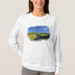 Canada, Alberta, The Highwood River Along the T-Shirt