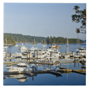 Canada, BC, Gulf Islands, Salt Spring Island, Ceramic Tile