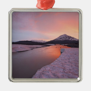 Canada, British Columbia, Alsek River Valley. Metal Tree Decoration