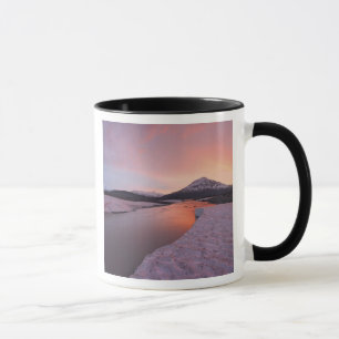 Canada, British Columbia, Alsek River Valley. Mug