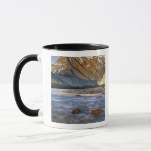 Canada, British Columbia, Alsek River Valley. Mug