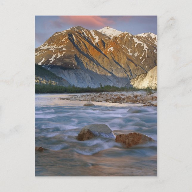 Canada, British Columbia, Alsek River Valley. Postcard (Front)