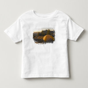 Canada, British Columbia, Cathedral Provincial Toddler T-Shirt