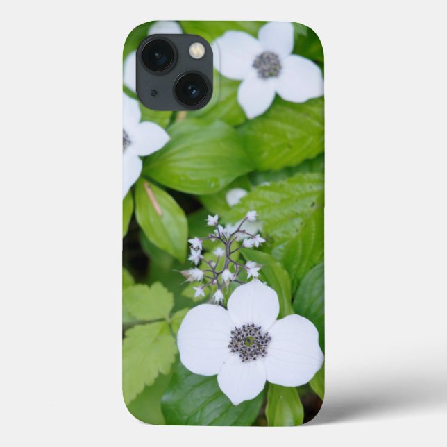 Canada, British Columbia. Dwarf Dogwood Case-Mate iPhone Case (Back)