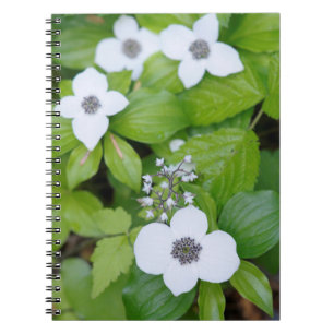Canada, British Columbia. Dwarf Dogwood Notebook