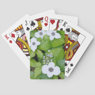 Canada, British Columbia. Dwarf Dogwood Playing Cards