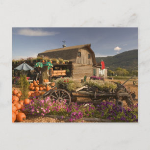 CANADA, British Columbia, Enderby. Log Barn Postcard