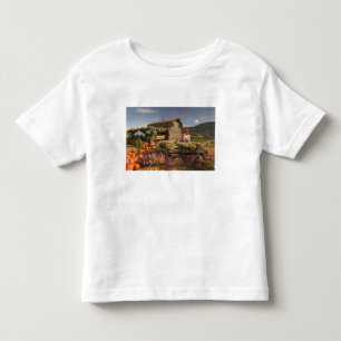 CANADA, British Columbia, Enderby. Log Barn Toddler T-Shirt