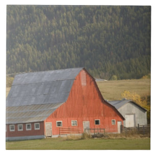 CANADA, British Columbia, Enderby. Red Barn / Ceramic Tile