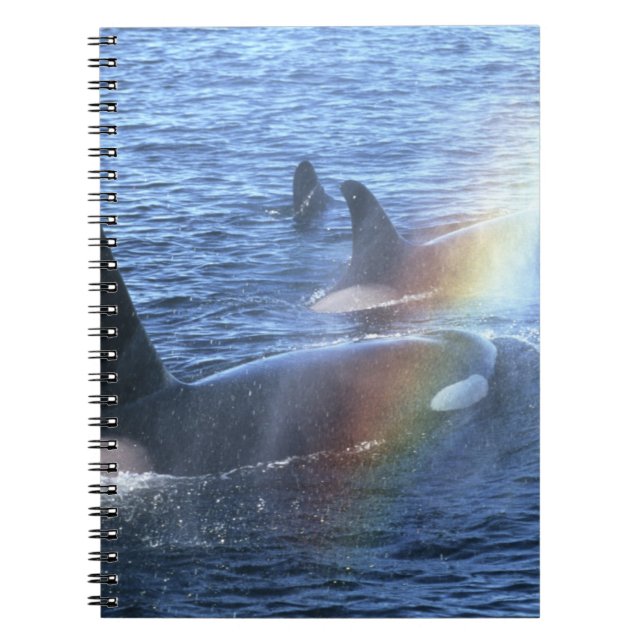 Canada, British Columbia, Johnstone Straight, Notebook (Front)