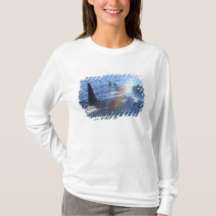 Canada, British Columbia, Johnstone Straight, T-Shirt