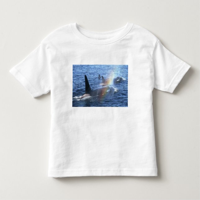 Canada, British Columbia, Johnstone Straight, Toddler T-Shirt (Front)