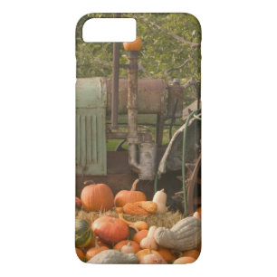 CANADA, British Columbia, Keremeos. Autumn / 2 iPhone 8 Plus/7 Plus Case