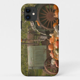 CANADA, British Columbia, Keremeos. Autumn / 2 iPhone 11 Case