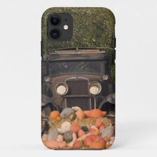 CANADA, British Columbia, Keremeos. Autumn / 2 iPhone 11 Case