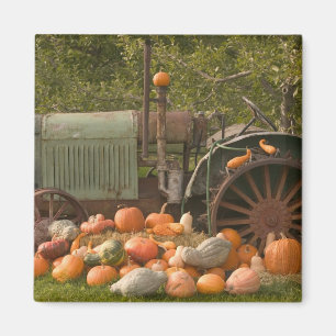 CANADA, British Columbia, Keremeos. Autumn / 2 Magnet
