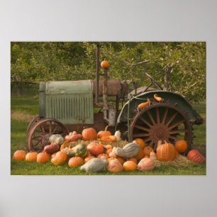CANADA, British Columbia, Keremeos. Autumn / 2 Poster