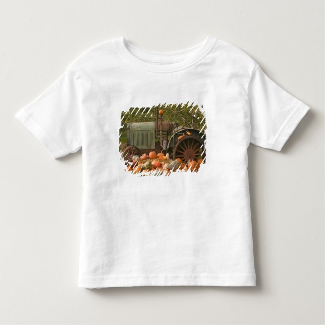CANADA, British Columbia, Keremeos. Autumn / 2 Toddler T-Shirt (Front)