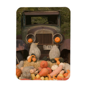 CANADA, British Columbia, Keremeos. Autumn / Magnet