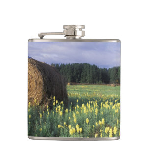 Canada, British Columbia, Kitwanga. Yellow Hip Flask