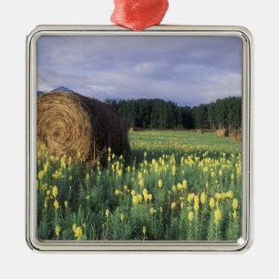Canada, British Columbia, Kitwanga. Yellow Metal Tree Decoration
