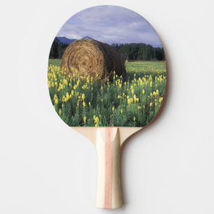 Canada, British Columbia, Kitwanga. Yellow Ping Pong Paddle