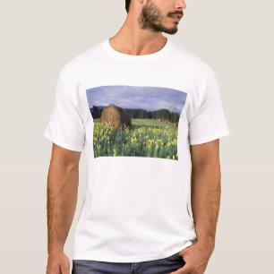 Canada, British Columbia, Kitwanga. Yellow T-Shirt