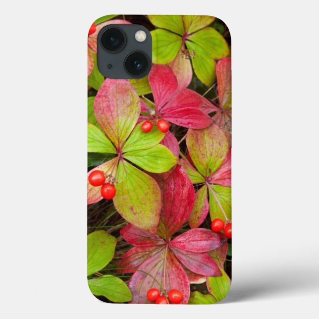 Canada, British Columbia, Mount Robson Case-Mate iPhone Case (Back)