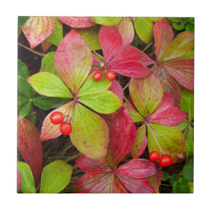 Canada, British Columbia, Mount Robson Ceramic Tile