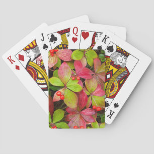 Canada, British Columbia, Mount Robson Playing Cards