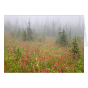 Canada, British Columbia, Revelstoke National