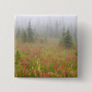Canada, British Columbia, Revelstoke National 15 Cm Square Badge