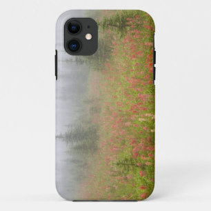 Canada, British Columbia, Revelstoke National iPhone 11 Case