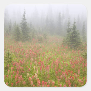 Canada, British Columbia, Revelstoke National Square Sticker