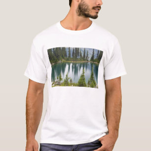 Canada, British Columbia, Revelstoke National T-Shirt