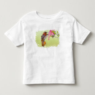 Canada, British Columbia, Rufous Hummingbird Toddler T-Shirt