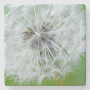 Canada, British Columbia, Vancouver Island 4 Stone Coaster