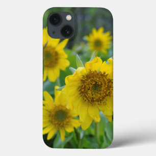 Canada, British Columbia, Vancouver Island 5 iPhone 13 Case