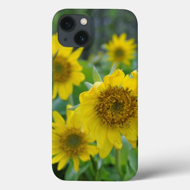 Canada, British Columbia, Vancouver Island 5 Case-Mate iPhone Case (Back)