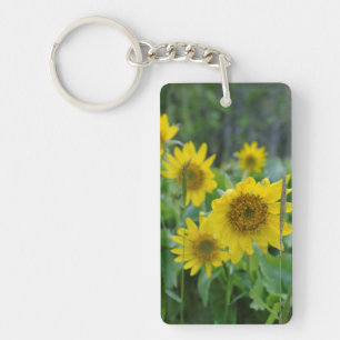 Canada, British Columbia, Vancouver Island 5 Key Ring