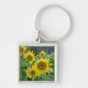 Canada, British Columbia, Vancouver Island 5 Key Ring