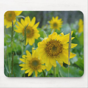 Canada, British Columbia, Vancouver Island 5 Mouse Pad