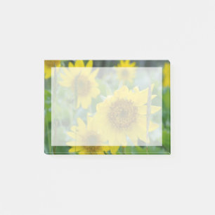 Canada, British Columbia, Vancouver Island 5 Post-it Notes
