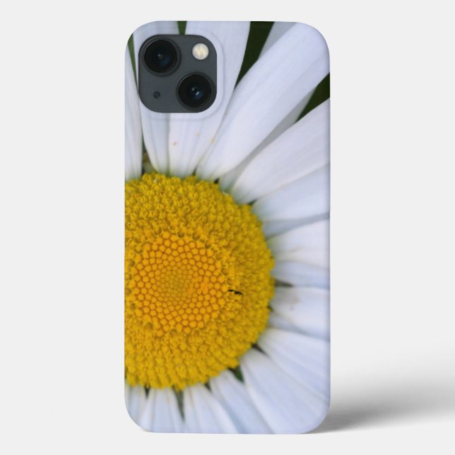 Canada, British Columbia, Vancouver Island 8 Case-Mate iPhone Case (Back)