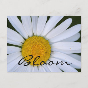 Canada, British Columbia, Vancouver Island 8 Postcard