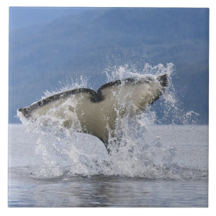 Canada, British Columbia, Vancouver Island, Ceramic Tile