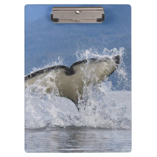 Canada, British Columbia, Vancouver Island, Clipboard
