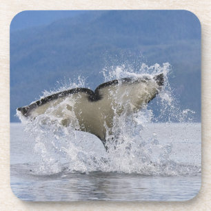 Canada, British Columbia, Vancouver Island, Coaster